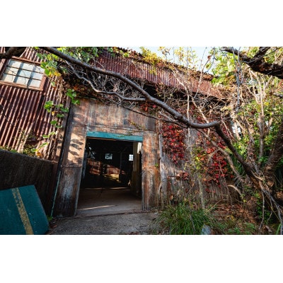 アカデミー賞受賞作品のロケ地!旧鹿島海軍航空隊跡地貸し切りプラン(約3時間)【配送不可地域：離島・沖縄県】