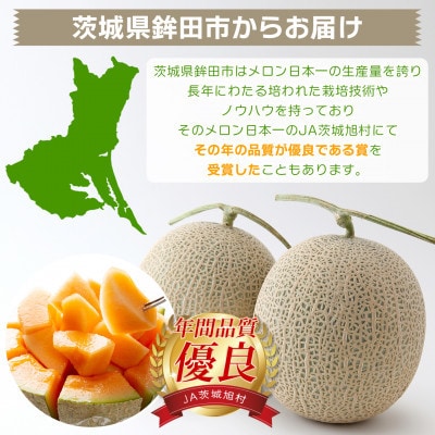 【内山農園】いばらきメロンコンテスト2025クインシーメロン(1玉1.5k)2026年5月～発送開始【配送不可地域：離島・沖縄県】