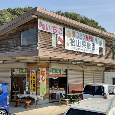 【数量限定!】桧山果樹園の茨城県ブランド梨　恵水5kg【配送不可地域：離島・沖縄県】