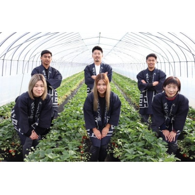 【2026年1月より順次発送予定】風早いちご園 とちおとめ レギュラー 250g×8パック【配送不可地域：離島・北海道・沖縄県】