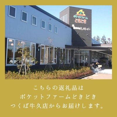 栗ご飯にぴったり!茨城県産 貯蔵 石鎚栗 約2kg(約1kg×2袋)【配送不可地域：離島・沖縄県】
