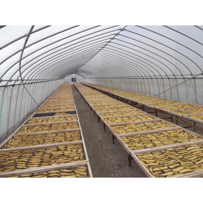 石塚さん　紅はるか干し芋　平干し300g×3袋・丸干し250g×3袋　計6袋セット【配送不可地域：離島・沖縄県】