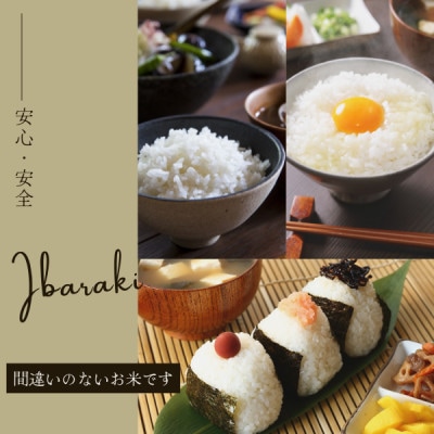 【茨城県産】2025年新米 茨城県産 コシヒカリ米(精米)5kg【配送不可地域：離島・沖縄県】