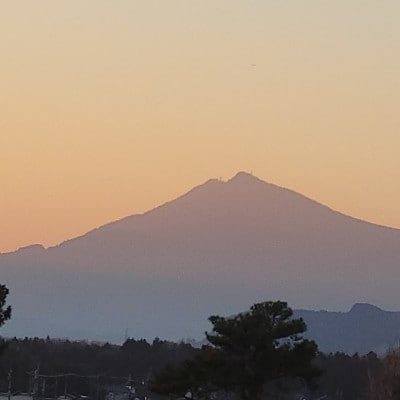 茨城県産こしひかりミックス 白米5kg 令和7年産【配送不可地域：離島・沖縄県】