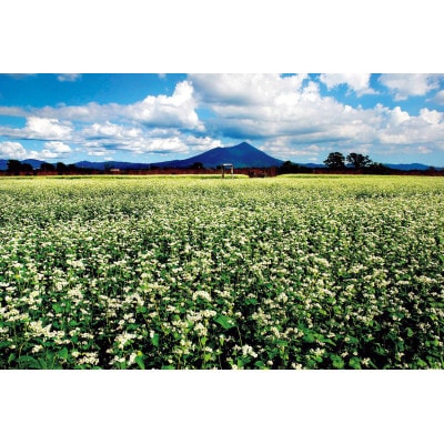 [手打そば満志粉] ランチペア【配送不可地域：離島・沖縄県】