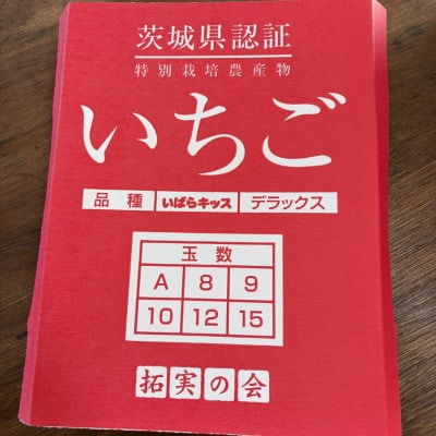特別栽培農産物 いばらキッス 2パック 茨城県オリジナルブランドいちご【拓実の会(濱野いちご園)】【配送不可地域：離島・沖縄県】