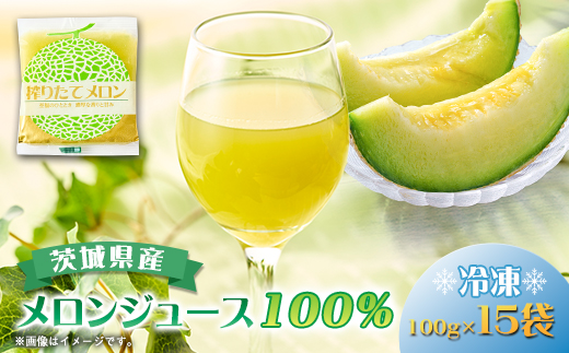 ベルファームの冷凍メロンジュース 茨城県産メロン100% 100g×15袋 【離島・沖縄配送不可】【配送不可地域：離島・沖縄県】