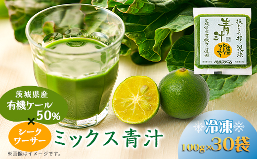 ベルファームの冷凍ミックス青汁 茨城県産ケール使用 100g×30袋 【離島・沖縄配送不可】【配送不可地域：離島・沖縄県】