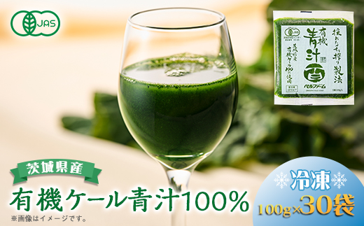 ベルファームの冷凍有機青汁百 茨城県産ケール100% 100g×30袋 【離島・沖縄配送不可】【配送不可地域：離島・沖縄県】