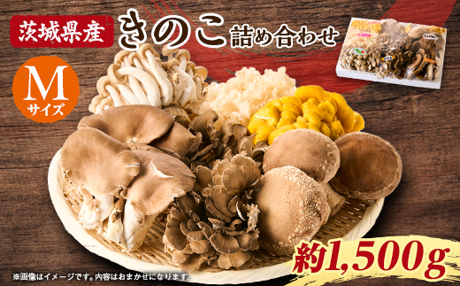 きのこの詰め合わせ　M(約1500g)【配送不可地域：離島・沖縄県】