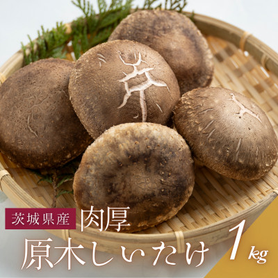 原木生しいたけ 約1kg・肉厚【配送不可地域：離島・沖縄県】