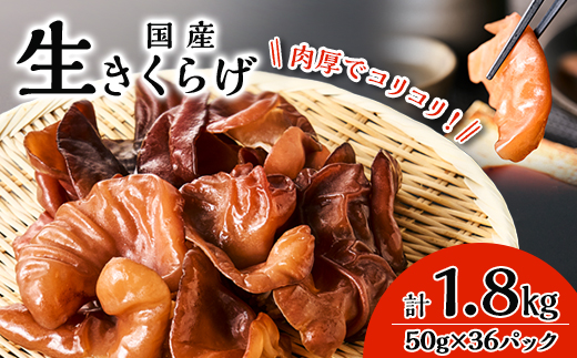 コリコリ食感!生きくらげ【配送不可地域：離島・沖縄県】
