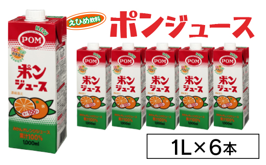 えひめ飲料　ポンジュース1L×6本【配送不可地域：離島・沖縄県】