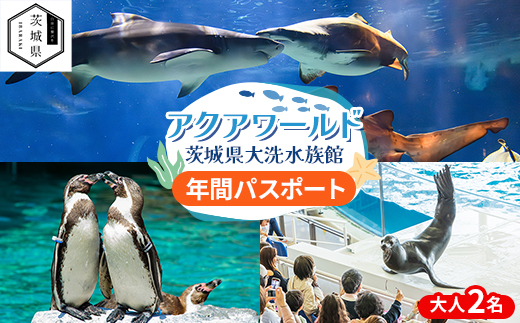 アクアワールド茨城県大洗水族館　年間パスポート(大人2名分)【配送不可地域：離島・沖縄県】