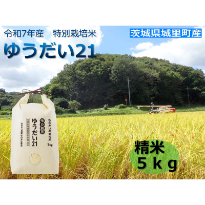 令和7年産　特別栽培米「ゆうだい21」精米5kg【配送不可地域：離島・沖縄県】