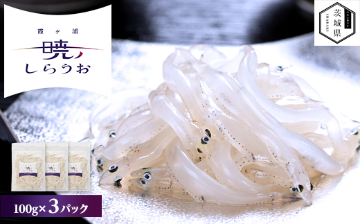 【先行予約】霞ヶ浦　暁のしらうお　100g×3パック【配送不可地域：離島・沖縄県】