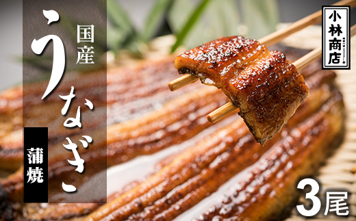 うなぎの六三 こばやし商店 国産 蒲焼うなぎ 約135g×3尾 自家製たれ3個付 木箱入【配送不可地域：離島・沖縄県】