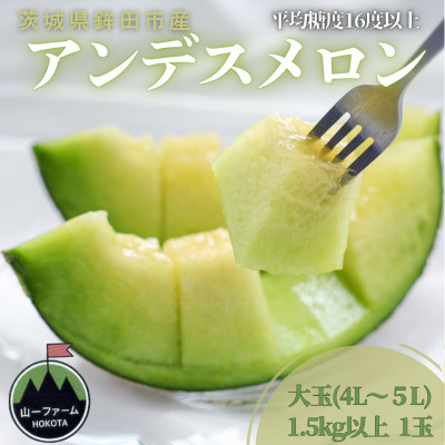 【先行受付】令和8年4月順次発送 茨城県鉾田市 山一ファーム アンデスメロン 大玉 4L～5L・1玉【配送不可地域：離島・沖縄県】