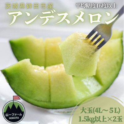 【先行受付】令和8年4月順次発送 茨城県鉾田市 山一ファーム アンデスメロン 大玉 4L～5L・2玉【配送不可地域：離島・沖縄県】