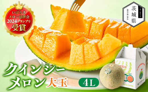 【先行受付】令和8年4月順次発送 茨城県鉾田市 山一ファーム クインシーメロン 大玉4L～5L・1玉【配送不可地域：離島・沖縄県】