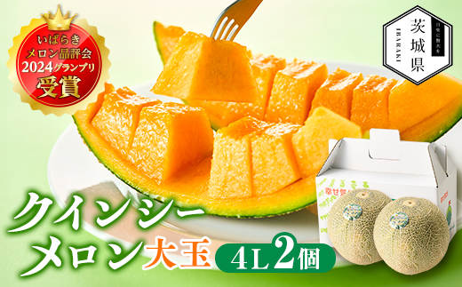 【先行受付】令和8年4月順次発送 茨城県鉾田市 山一ファーム クインシーメロン 大玉4L～5L・2玉【配送不可地域：離島・沖縄県】