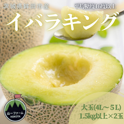 【先行受付】令和8年5月順次発送 茨城県オリジナル品種!! イバラキング 4L～5L・2玉 数量限定【配送不可地域：離島・沖縄県】