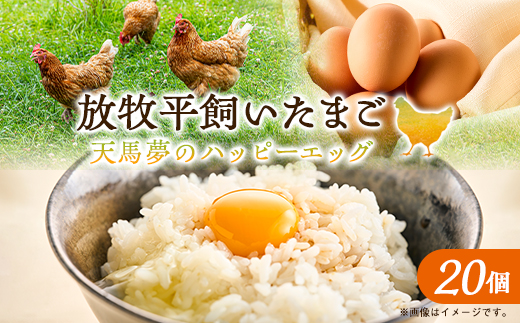 天馬夢のハッピーエッグ 20個【配送不可地域：離島・沖縄県】