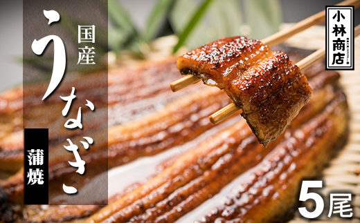 うなぎの六三 こばやし商店 国産 蒲焼うなぎ 約135g×5尾 自家製たれ5個付 木箱入【配送不可地域：離島・沖縄県】