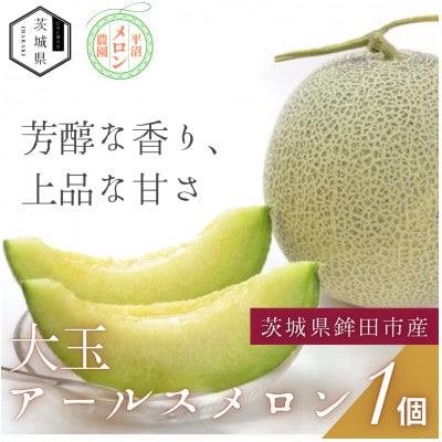 茨城県鉾田市産 アールスメロン 2.0kg以上×1玉【配送不可地域：離島・沖縄県】