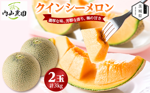 【内山農園】いばらきメロンコンテスト2025クインシーメロン(2玉3kg)2026年5月より発送開始【配送不可地域：離島・沖縄県】