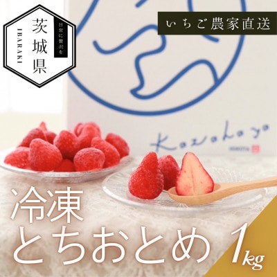 風早いちご園 とちおとめ 冷凍いちご1kg 真空冷凍 長期保存【配送不可地域：離島・沖縄県】