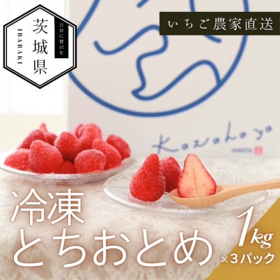 風早いちご園 とちおとめ 冷凍いちご3kg(1kg×3パック) 真空冷凍 長期保存【配送不可地域：離島・沖縄県】