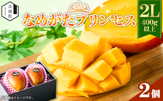茨城県産 なめがたプリンセスマンゴー2L【400g以上】2個【配送不可地域：離島・沖縄県】