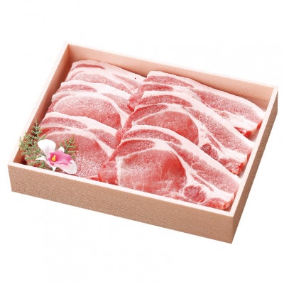 茨城銘柄豚ローズポークとんかつ・ソテー用 120g×6枚【配送不可地域：離島・沖縄県】