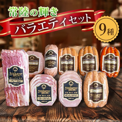 筑波ハム ハム・ベーコン・ソーセージ バラエティ9品 茨城県産 常陸の輝き ブランド豚 銘柄豚【配送不可地域：離島・沖縄県】