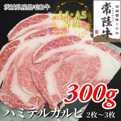 【常陸牛】ハミデルカルビ 300g(2～3枚)【配送不可地域：離島・沖縄県】