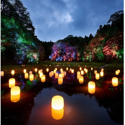 「チームラボ 幽谷隠田跡」鑑賞券【大人(高校生以上)1名分】【配送不可地域：離島・沖縄県】