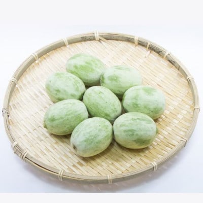 【加工用】茨城県鉾田市産 摘果メロン(子メロン)約5kg【配送不可地域：離島・沖縄県】