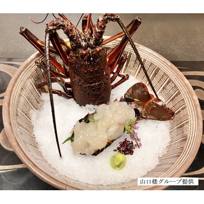 常陸乃国いせ海老 1尾(600～700g) 冷凍【配送不可地域：離島・沖縄県】