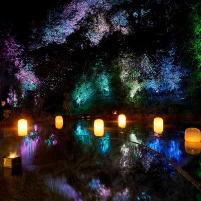 「チームラボ 幽谷隠田跡」鑑賞・温泉付きセット券【大人(高校生以上)1名分】【配送不可地域：離島・沖縄県】