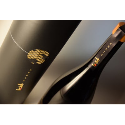 真上 AEGIS【配送不可地域：離島・沖縄県】