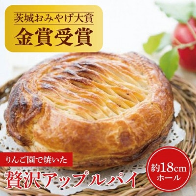 りんご園で焼いた ぜいたくアップルパイ 1ホール【配送不可地域：離島・沖縄県】