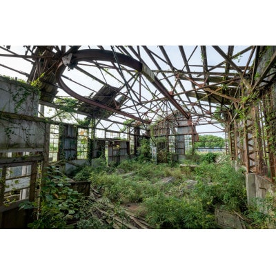 アカデミー賞受賞作品のロケ地!旧鹿島海軍航空隊跡地貸し切りプラン(約3時間)【配送不可地域：離島・沖縄県】