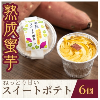熟成蜜芋 ねっとり甘い 半熟スイートポテト120g×6個【配送不可地域：離島・沖縄県】