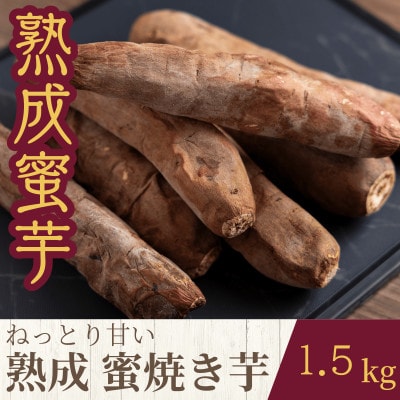 ねっとり甘い熟成蜜焼き芋 1.5kg【配送不可地域：離島・沖縄県】