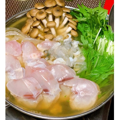 【河内河豚】トラフグてっちり錦ふぐぽんすセット【配送不可地域：離島・沖縄県】