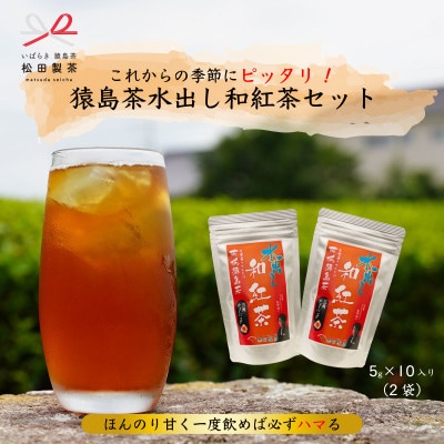 水出し和紅茶/5g×10(2袋)【本格的な紅茶】ティーバッグ TBG-008【配送不可地域：離島・沖縄県】