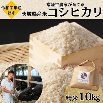 令和7年産 茨城県産 常陸牛農家が育てる コシヒカリ 精米 10kg【配送不可地域：離島・沖縄県】