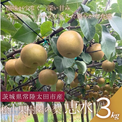 【先行受付】2026年9月順次発送 桧山果樹園 茨城県 ブランド梨 恵水3kg【配送不可地域：離島・沖縄県】