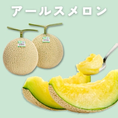 糖度13度以上!茨城県産 アールスメロン 2玉入り【先行受付　2026年9月下旬以降順次発送】【配送不可地域：離島・北海道・沖縄県・中国・四国・九州】